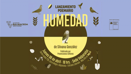 “HUMEDAD”: POEMARIO SE LANZA EN BAJVALPO