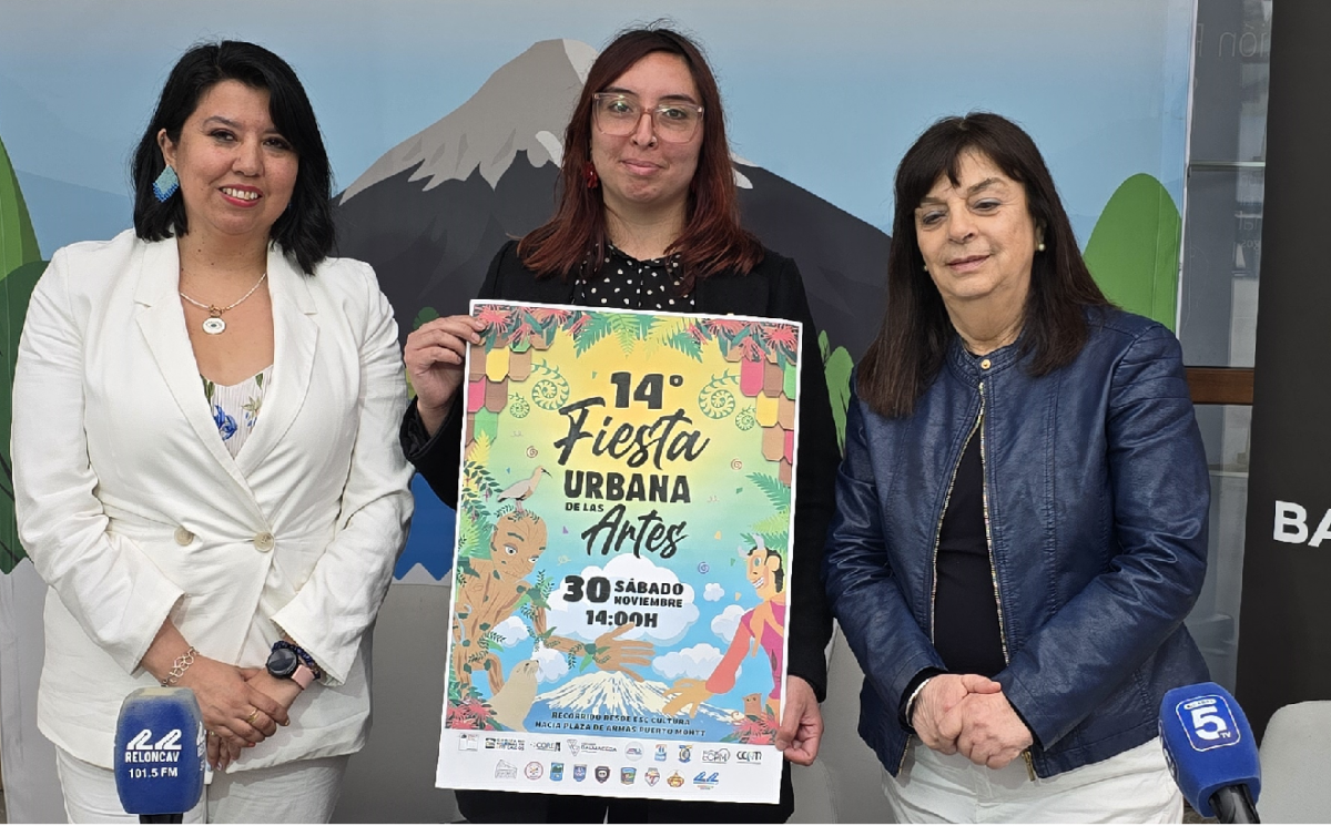 BALMACEDA ARTE JOVEN LOS LAGOS LANZA PROGRAMA ACTIVIDADES DE FNDR CULTURA